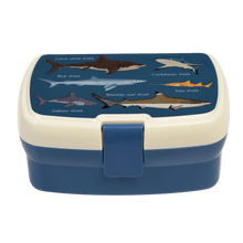 Load image into Gallery viewer, Rex Lunch Box with Tray - Sharks
