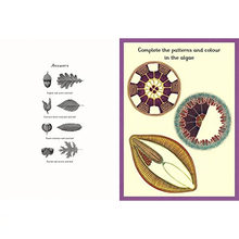Load image into Gallery viewer, Botanicum Activity Book