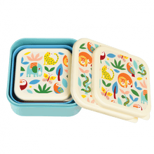 Load image into Gallery viewer, Rex Set of 3 Snack Boxes - Wild Wonders