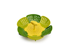 Load image into Gallery viewer, Jospeh Joseph Bloom Folding Steamer Basket