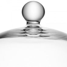 Load image into Gallery viewer, LSA Vienna Dome & Plate