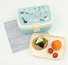 Load image into Gallery viewer, Rex Lunch Box with Tray - Best in Show