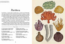 Load image into Gallery viewer, Animalium Mini Gift Editition