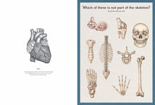 Load image into Gallery viewer, Anatomicum Activity Book