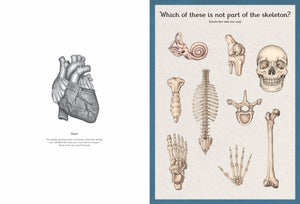 Anatomicum Activity Book
