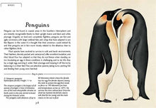 Load image into Gallery viewer, Animalium Mini Gift Editition