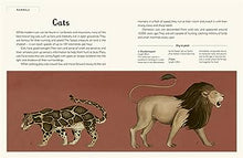 Load image into Gallery viewer, Animalium Junior Edition Hardback Book