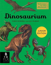 Load image into Gallery viewer, Dinosaurium Junior Edition Hardback Book