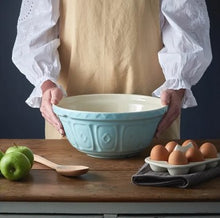 Load image into Gallery viewer, Mason Cash Colour Mix Mixing Bowl - Powder Blue, S12/29cm