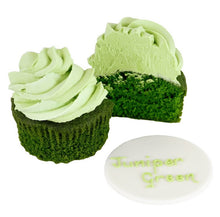 Load image into Gallery viewer, PME Natural Food Colour - Juniper Green