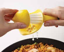 Load image into Gallery viewer, Joseph Joseph Catcher Citrus Reamer