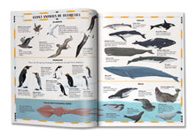 Load image into Gallery viewer, Antarctica Hardback Book