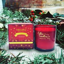 Cinnamon And Winter Berries 4 Wick Candle.