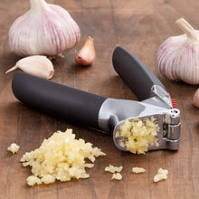 Load image into Gallery viewer, OXO Good Grips Garlic Press
