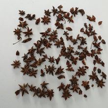 Load image into Gallery viewer, Decorative Litter - Natural Substance
