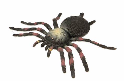 Stretchy Beanie - Tarantula