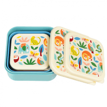 Load image into Gallery viewer, Rex Set of 3 Snack Boxes - Wild Wonders
