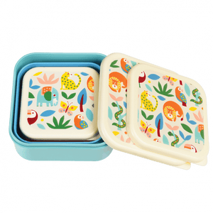 Rex Set of 3 Snack Boxes - Wild Wonders