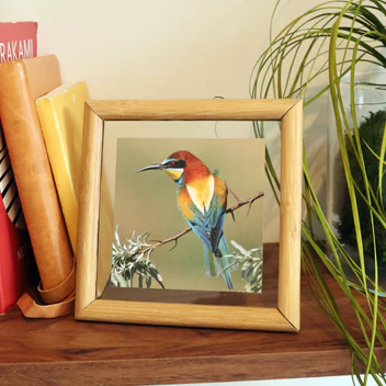 Kikkerland Medium Floating Frame