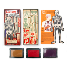 Load image into Gallery viewer, Kikkerland Anatomy Stamp Set
