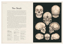 Load image into Gallery viewer, Anatomicum Hardback Book
