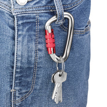 Load image into Gallery viewer, Troika Carabiner Sliver/Red
