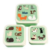 Load image into Gallery viewer, Rex Set of 3 Snack Boxes - Nine Lives
