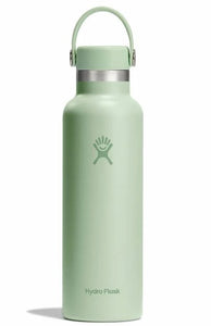 Hydroflask Standard Mouth Bottle with Flex  Cap 21oz - Aloe