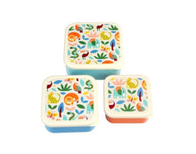 Load image into Gallery viewer, Rex Set of 3 Snack Boxes - Wild Wonders
