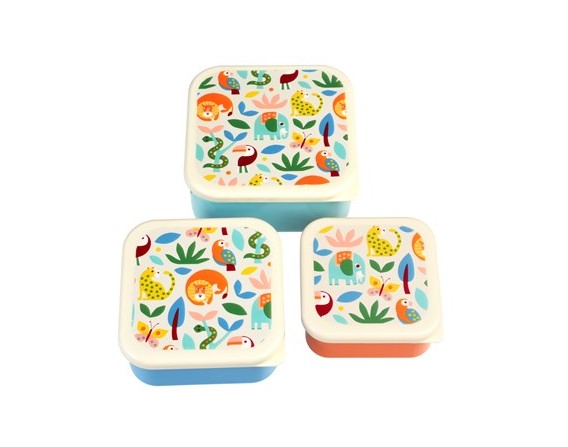 Rex Set of 3 Snack Boxes - Wild Wonders