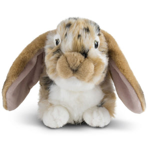 Living Nature Brown Dutch Lop Ear Rabbit