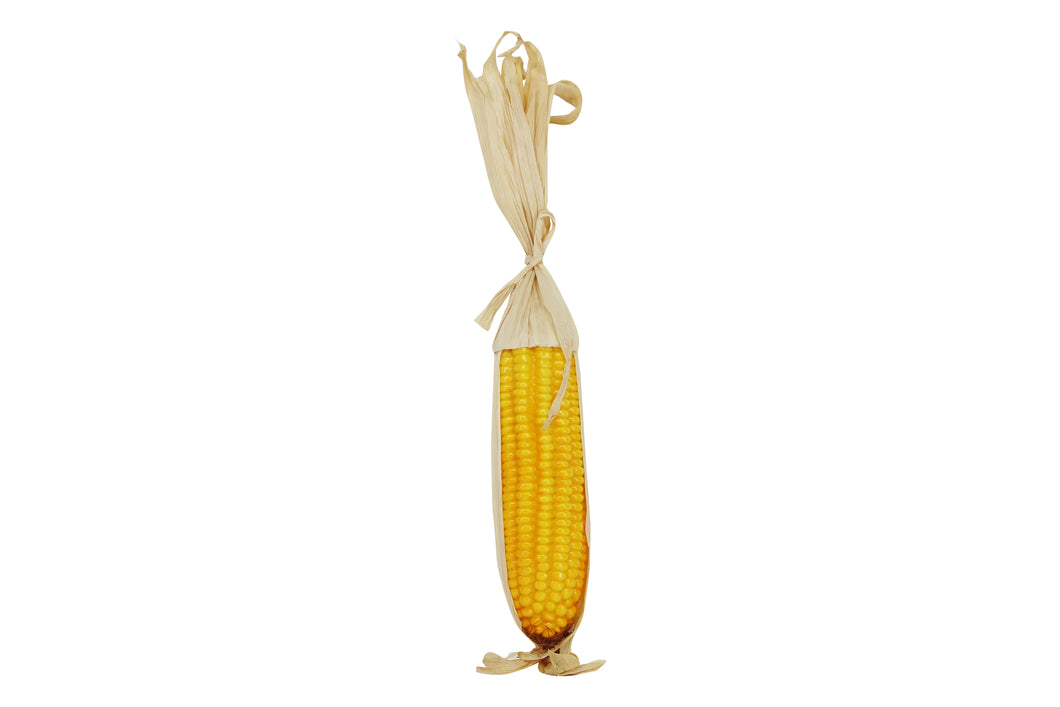 Fake Vegetable - Corn on the Cob