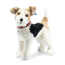 Load image into Gallery viewer, Steiff Special Edition Foxy Fox Terrier, white/brown/black
