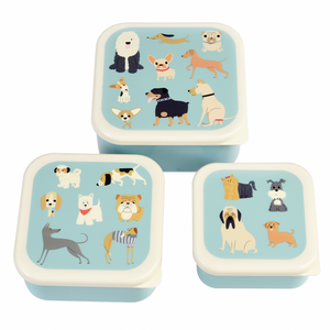 Rex Set of 3 Snack Boxes - Best in Show