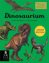 Load image into Gallery viewer, Dinosaurium Junior Edition Hardback Book
