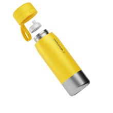 Load image into Gallery viewer, Wessper BS Stainless Steel Filter Bottle, 700ml - Yellow
