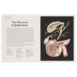 Anatomicum Junior Edition Hardback Book