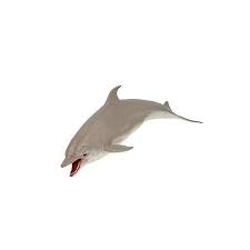 Water Gun - Dolphin