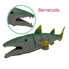 Load image into Gallery viewer, Stretchy Beanie - Barracuda
