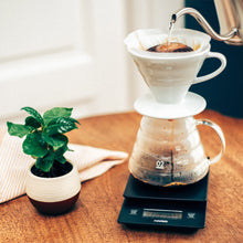 Load image into Gallery viewer, Hario V60 Range Glass Server Jug 600ml Clear
