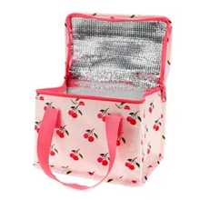 Load image into Gallery viewer, Rex Insulated Lunch Bag - Cherry
