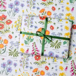Rex Wrapping Paper Sheets - Wild Flowers