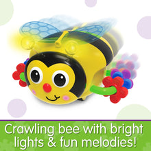 Load image into Gallery viewer, Crawl About Bee
