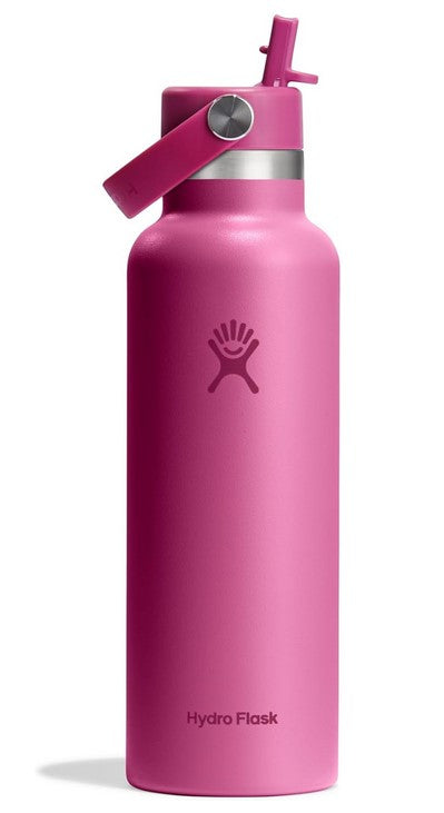 Hydroflask Standard Mouth Bottle with Straw  21oz -Reef