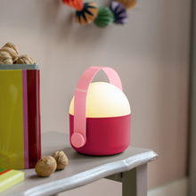 Load image into Gallery viewer, Remember Ole Lamp Berry
