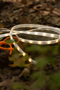 LED Rope Lights