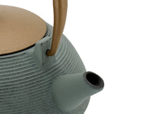 Load image into Gallery viewer, Bredemeijer Cast Iron Teapot Sakura, blue 1.2Ltr
