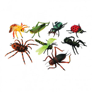 Giant insects