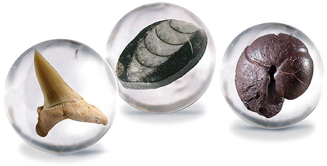 Paleo World Marbles