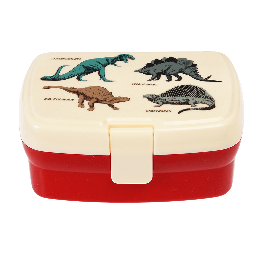 Rex Lunch Box with Tray - Prehistoric Land – Stock Design Store